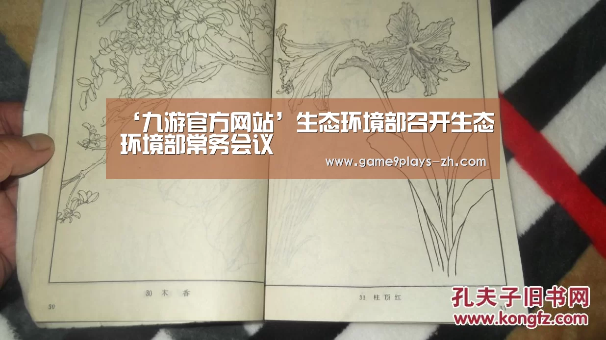 九游在线