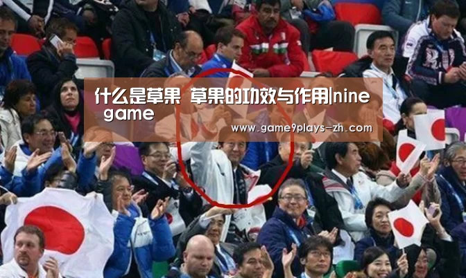什么是草果 草果的功效与作用|nine game