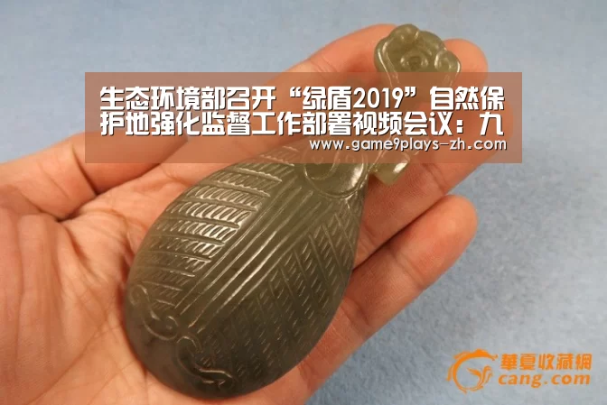 生态环境部召开“绿盾2019”自然保护地强化监督工作部署视频